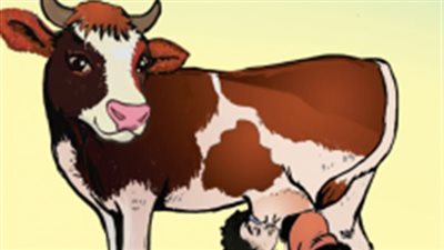 رواية بقړة اليتامي  كاملة  بقلم عائشة بنت المعمورة