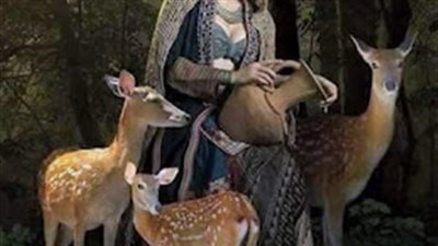 رواية وجدان التى عاشت مع الغزلان كاملة بقلم كاتب مجهول