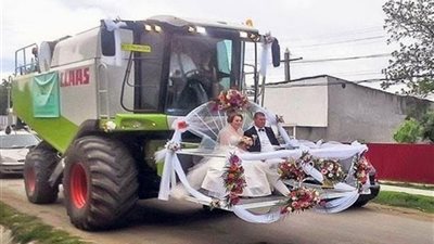 رجل قام بحمل العروسين في الحصادة ماذا حدث