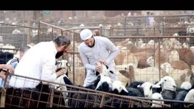 هل يجوز الاستدانة من اجل الاضحـية