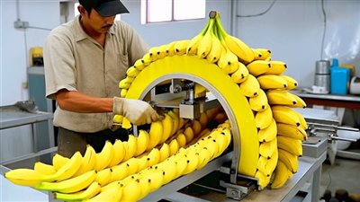 أنظرو كيف تصنع الأغذية داخل المصانع العملاقة , مشاهد مذهلة