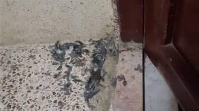 قصه العتبه كامله